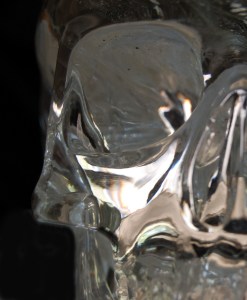 Photo by Alison Carrick